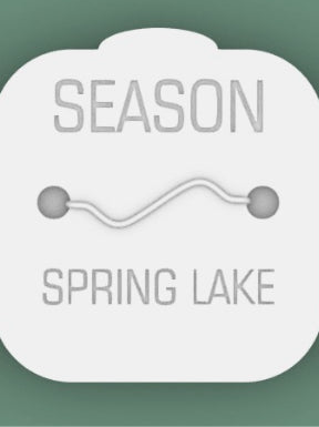 Spring Lake Beach Badge Stepping Stone