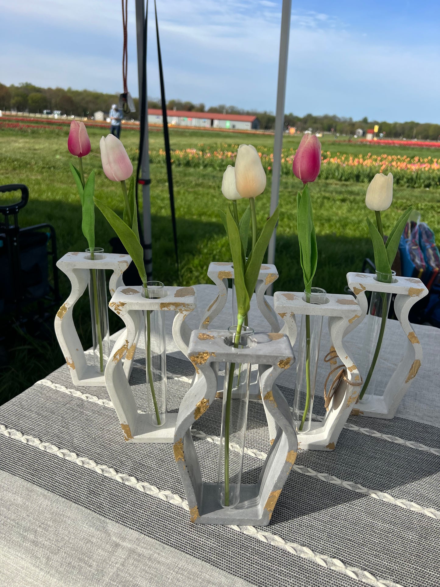 Open Vase Propagation