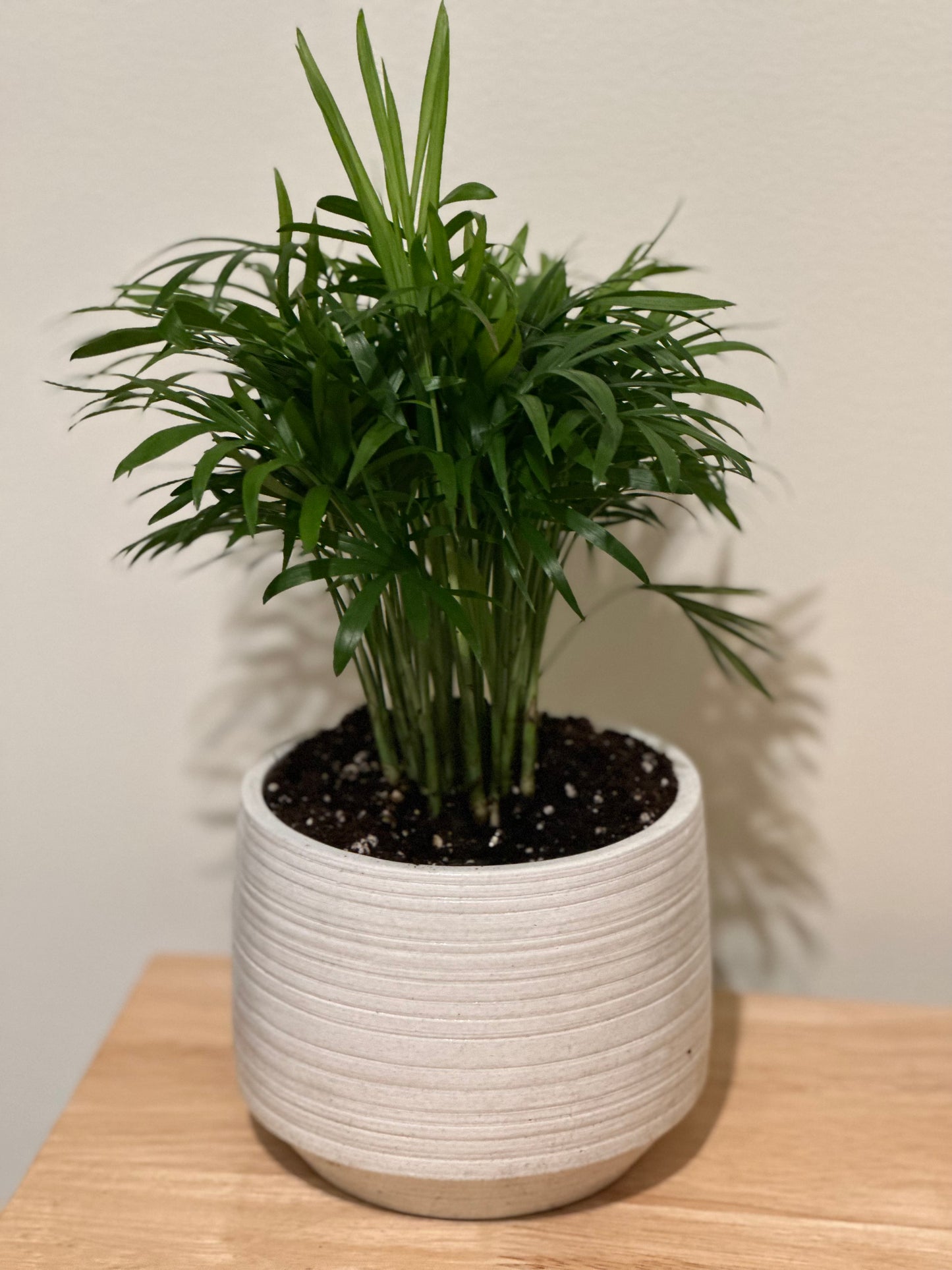 Nordic Planter Candle Vessel