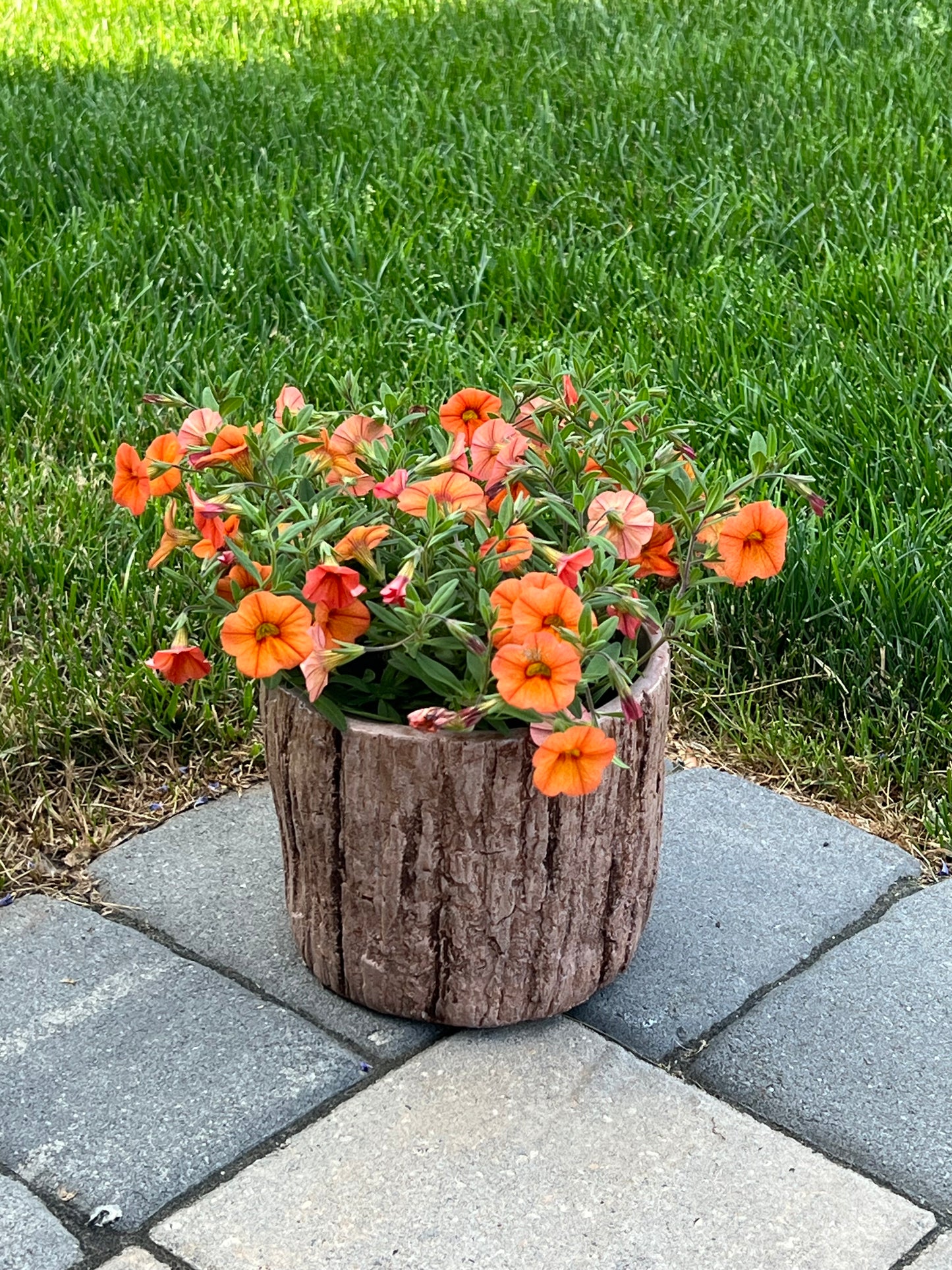 Bark Planter Tall