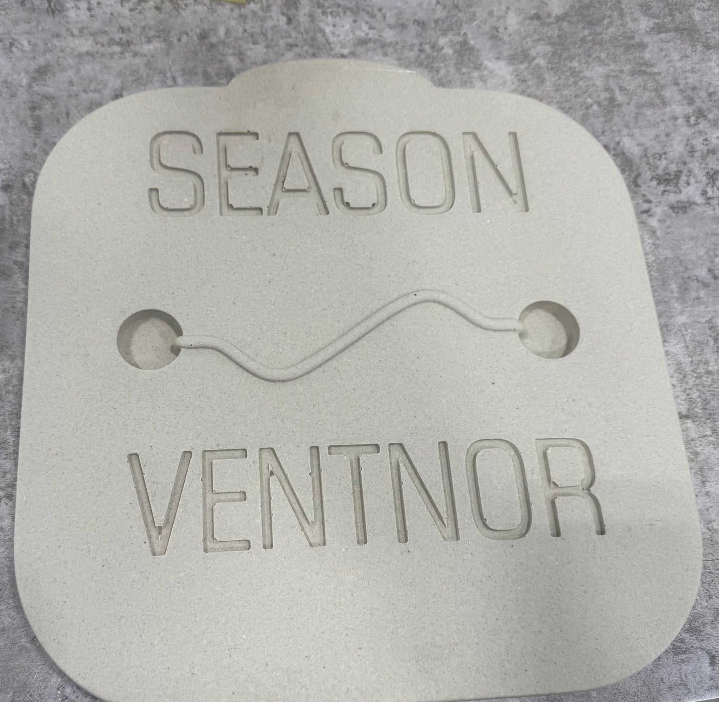 Ventnor Beach Badge Stepping Stone