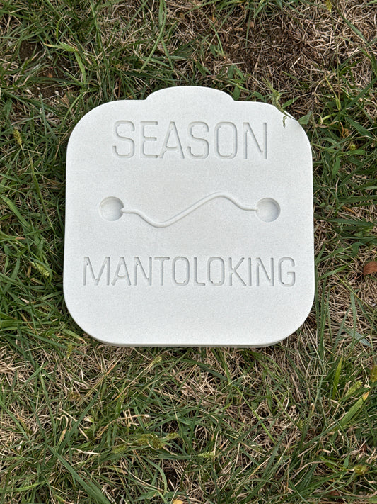 Mantoloking Beach Badge Stepping Stone