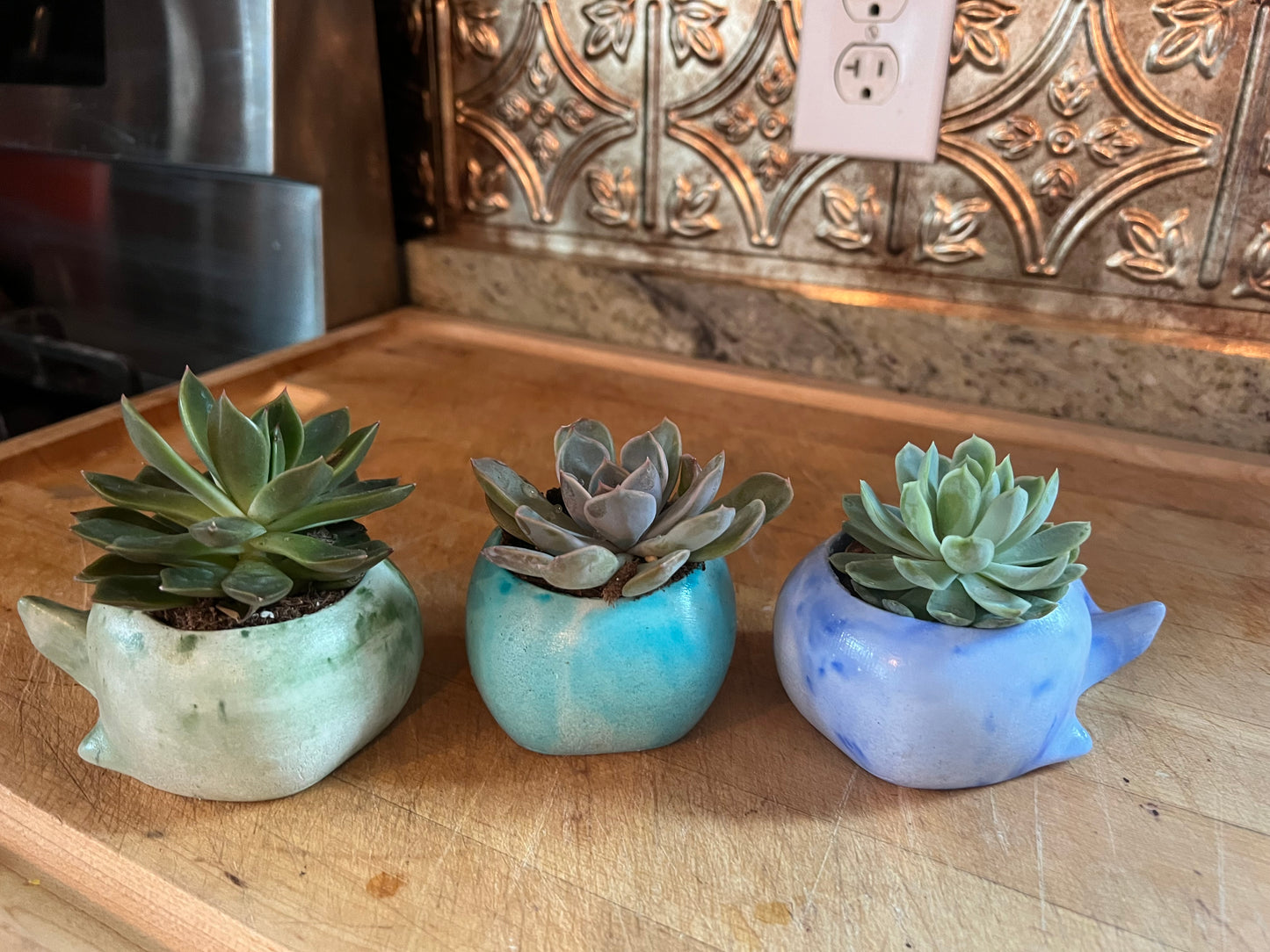 Whale Planter
