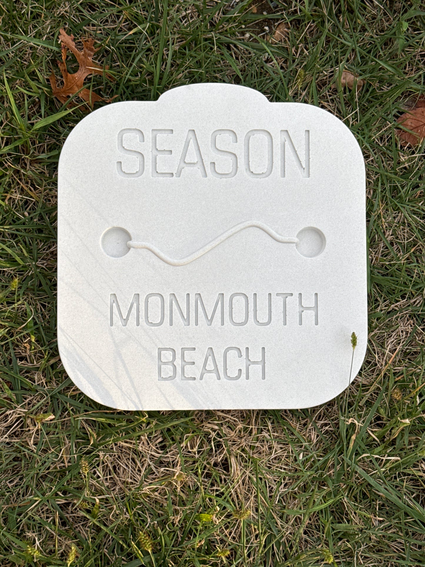 Monmouth Beach Stepping Stone