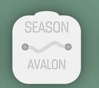 Avalon Beach Badge Stepping Stone