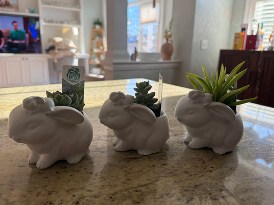 Bunny Succulent Planter